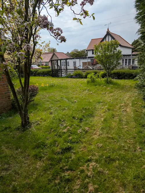 Overgrown front garden
